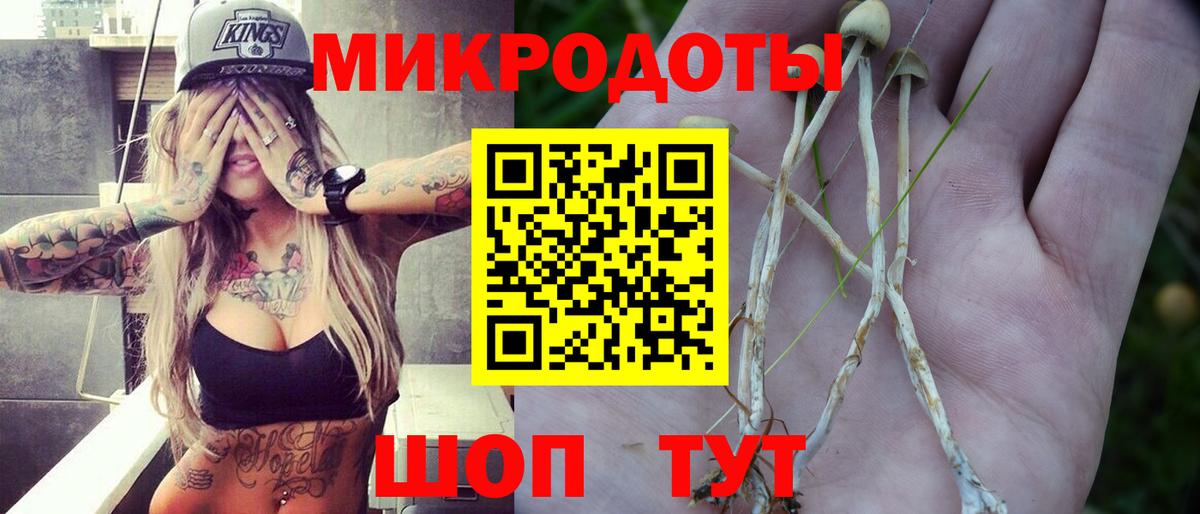 Псилоцибиновые грибы MAGIC MUSHROOMS Пушкино